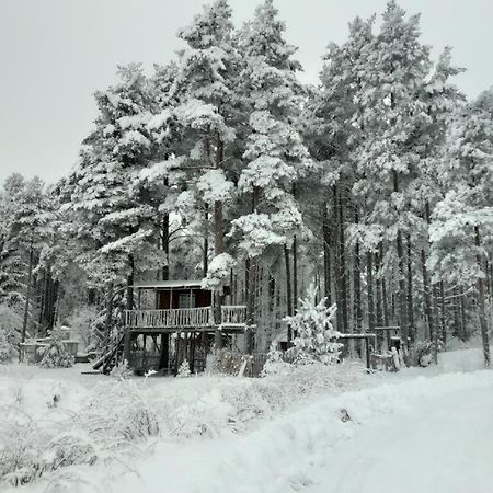Elulong Camping Lohusuu Exteriör bild