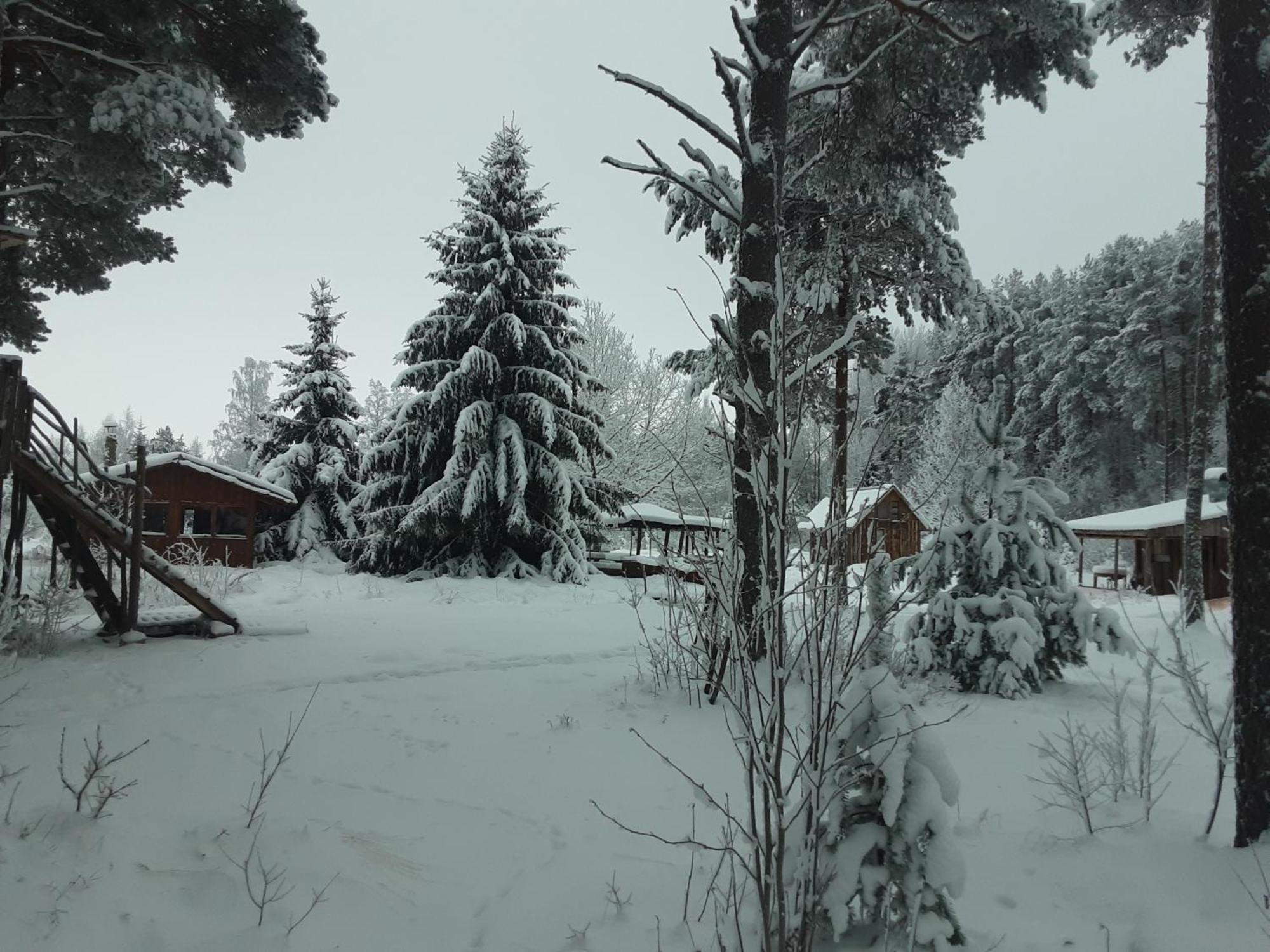 Elulong Camping Lohusuu Exteriör bild